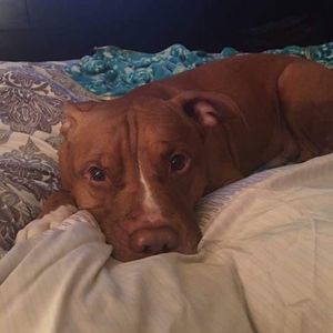 Meet your Posher, Arsenia